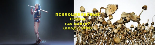 спайс Богородицк