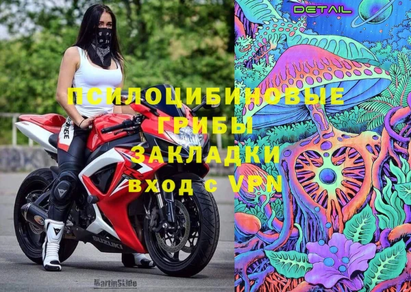 спайс Богородицк