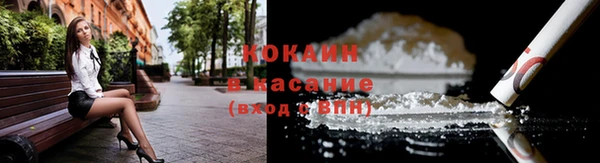 mdpv Богородск