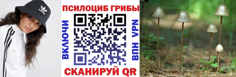 Галлюциногенные грибы Psilocybe ОМГ ОМГ Оха